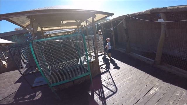 Прогулка в Анапе смотреть онлайн