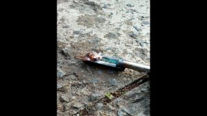 Горение магния в воде / Реакция магния с водой / The reaction of magnesium with water / magnesium