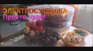 ЭЛЕКТРОСУШИЛКА.СУШИМ ФРУКТЫ!