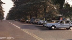 When you take your cat to the vet (E.T. + my cat OwlKitty)