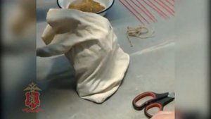 Незаконная добыча золота на севере Красноярского края