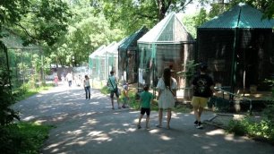 Приамурский зоосад имени Сысоева готовится удивлять посетителей