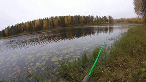 04.10.18 Орбит 80 sp + твичинг=щука. Рыбалка на городском озере.