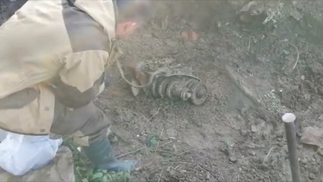 Поиск меди и металлолома на железной реке | 180 кг за 2 часа смотреть онлайн