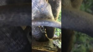 Замена задней ступицы на тойота королла 150