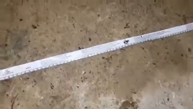 Как узнать вес быка, коровы без весов смотреть онлайн