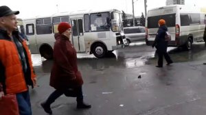 три автобуса паз маршруты 22, 36, 92