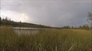 Карелия, одиночный поход в тайгу и рыбалка на спиннинг
