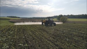 Химпрополка кукурузы!