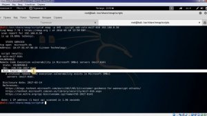024 Сканирование уязвимостей скриптами NMAP
