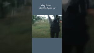 Holy Baam - молитва (speed up)