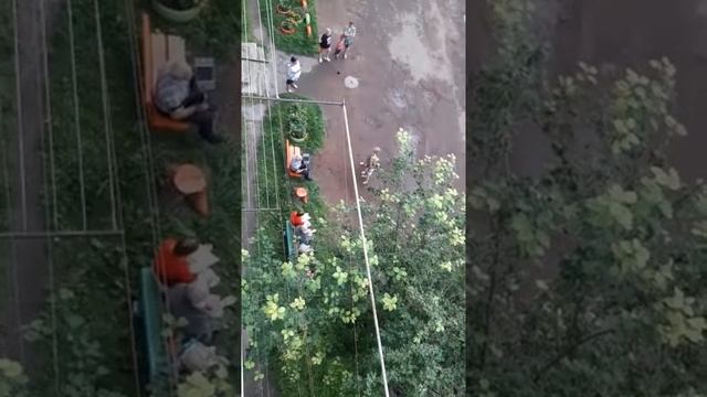 Заозерный, Юности, 14.mp4 смотреть онлайн