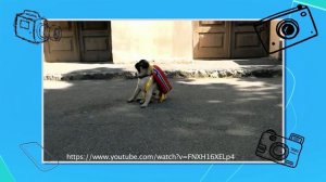 С добрым утром, малыши! - Прикольные видео про 1 сентября - Покажи класс!