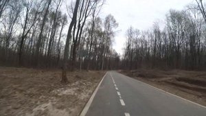 Косая Гора  Лыжероллерная трасса имени В. П. Веденина  2.5км