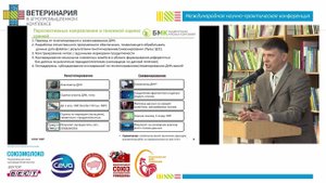 Рудь А.И. Племенная работа в свиноводстве: организация и проведение в современных условиях