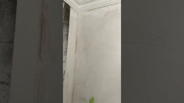 Відгуки про засіб від плісняви фада від компанії l-club смотреть онлайн