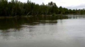 Рыбалка в Кругликово на р. Обь