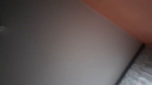 полный обзор приложения botim