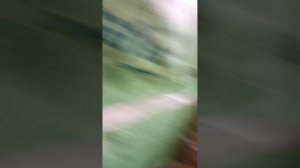 Пеноплекс или минеральная вата, что лучше, монтаж, сравнение, шумоизоляция, цена.