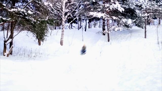 Самые лучшие Санки для горки Зимой | Обзор | Топ 4 смотреть онлайн