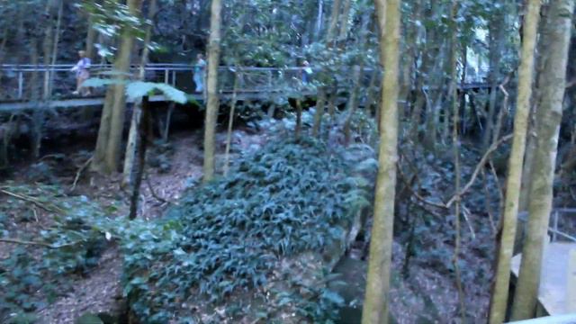 МОЕ ЖИЛЬЕ В АВСТРАЛИИ I АВСТРАЛИЯ НА САМОМ ДЕЛЕ смотреть онлайн