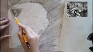 Как нарисовать леопарда карандашом/How to draw leopard