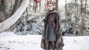 ПРОДОЛЖЕНИЕ ИГРЫ ПРЕСТОЛОВ: АРЬЯ СТАРК - куда отправилась?