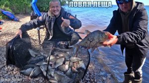 ДОЛГОЖДАННАЯ РЫБАЛКА НА ФИДЕР. Ловля Леща , густеры , плотвы на реке Волга.