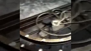 Кованые ворота