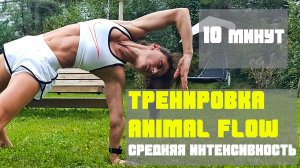 10 минутная ТРЕНИРОВКА ANIMAL FLOW.  Средняя интенсивность.