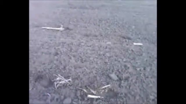 КОП открытие 2015 с серебром!!!!! смотреть онлайн