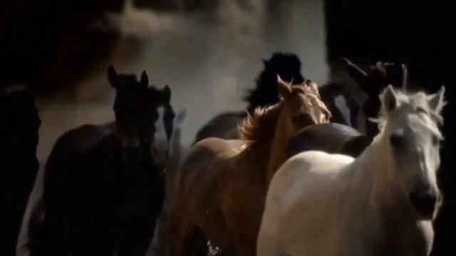 Tina Turner - Simply The Best - на русском смотреть онлайн