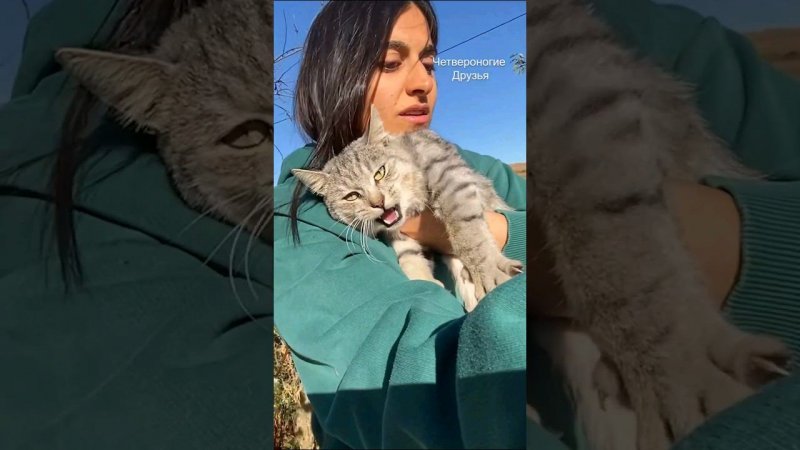 Нашла кота инвалида в поле #помощьживотным #кот #ставрополь