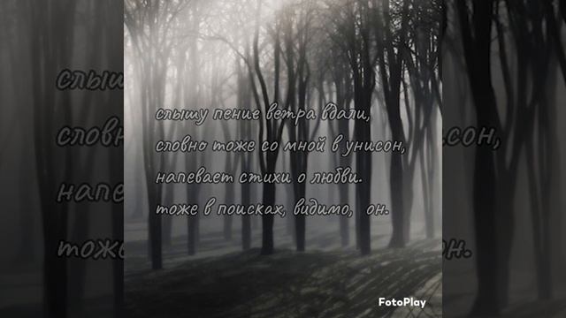 я тебя не отдам никому...читает автор... #поэзиядлядуши смотреть онлайн