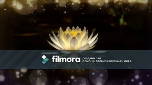 Медовое Наполнение Женского Центра, Мир Шакти ❤️