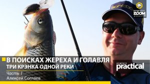 В поисках жереха и голавля. Часть 1. Три крэнка одной реки. Алексей Соглаев. Anglers Practical