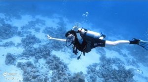 Дайвинг в Египте