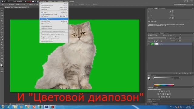 Как удалить хромакей