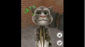 Talking Tom Cat on scratch