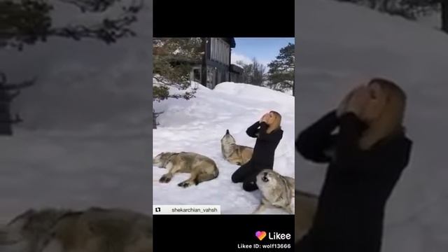 девушка воет с волками смотреть онлайн