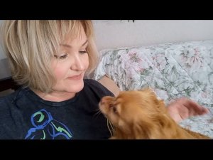 Кредиты это кабала история из жизни,кому то пригодится.Мои покупки.Прогулка в лес