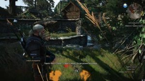 The Witcher 3: Wild Hunt "Она почти успела" - 11 часть