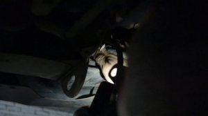 Замена лампочки противотуманных фар Ниссан Максима в нашем автосервисе