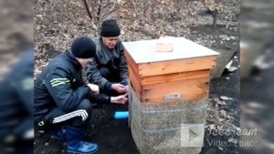 УКРЫТИЕ УЛЬЯ НА ЗИМУ 2014 ГОД / ПЧЕЛОВОДСТВО/ Пасека с нуля/Shelter Ulyana winter. Apiary