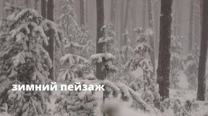 Красивые зимние пейзажи ~ Удивительные пейзажи природы и лучшая расслабляющая музыка