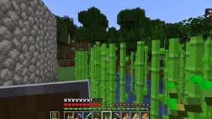 survival in minecraft 114