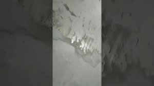 Элакор пу краска эмаль вместо шпаклевки