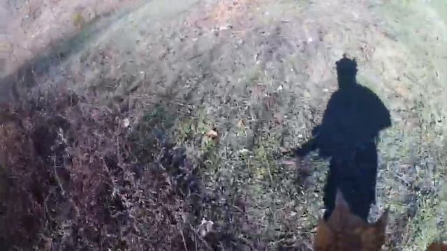 Закрытие сезона 2016 хардбол Уфа смотреть онлайн