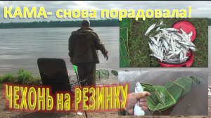 Кама.  Рыбалка на Чехонь.