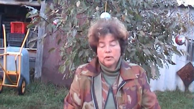 Ягодный сад.Планировка сада.